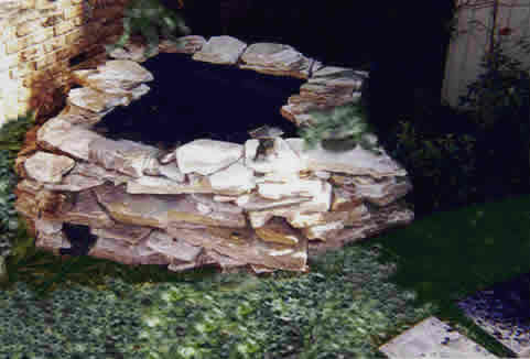 Michele's Pond